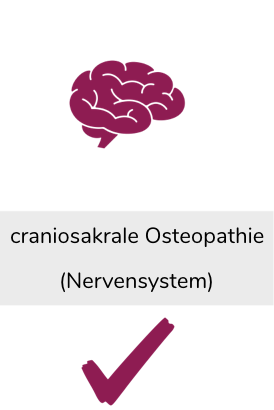 Craniosakrale Osteopathie | Ganzheitliche Therapie bei Problemen im Nervensystem 